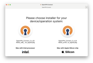 OpenVPN Setup Auswahl des Prozessors - Screenshot © HTW Berlin OpenVPN Setup Auswahl des Prozessors